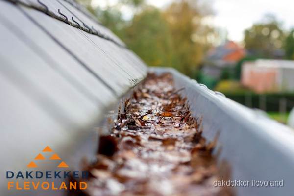 Verstopte dakgoot met bladeren schoonmaken in Flevoland