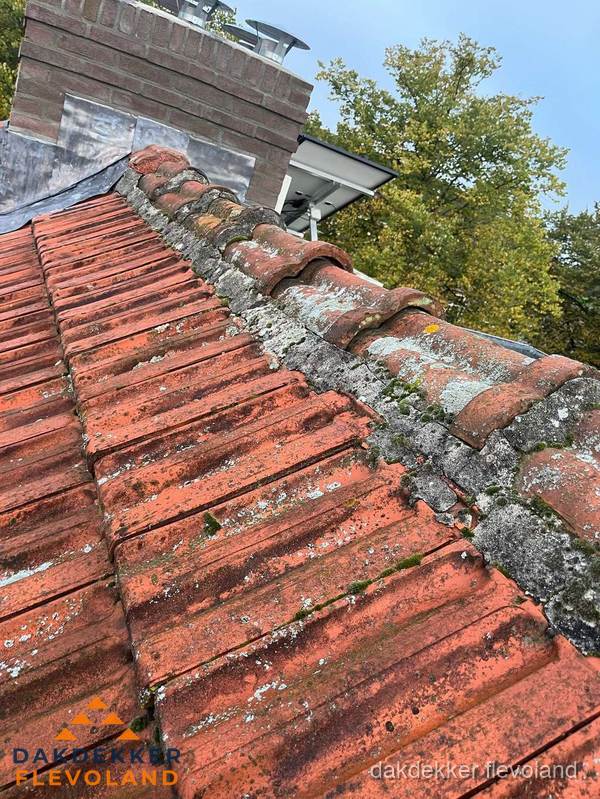 Verweerd hellend dak met mosgroei op nokvorst in Flevoland Verweerd hellend dak met mosgroei op nokvorst in Flevoland