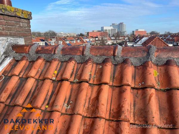 Pannendak met nokvorst en schoorsteen, dakrenovatie in Flevoland Pannendak met nokvorst en schoorsteen, dakrenovatie in Flevoland